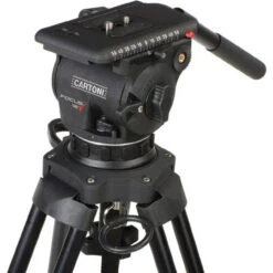 Cartoni Focus 12 Fluid Head With 2-Stage Carbon Fiber Smart-Stop SDS Tripod System 8 Cartoni Focus 12 Fluid Head With 2-Stage Carbon Fiber Smart-Stop SDS Tripod System -Sachtler shop 1508856321 IMG 888139 21659.1552677352
