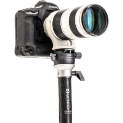 Benro MSDPL46C SupaDupa Carbon Fiber Monopod With Leveling Pan Head (62") 35 Benro MSDPL46C SupaDupa Carbon Fiber Monopod With Leveling Pan Head (62") -Sachtler shop 1605694687 IMG 1447577 06418.1607026127