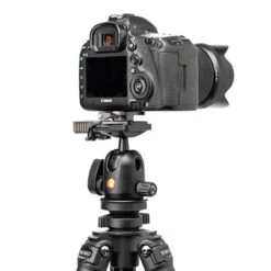 Benro ArcaSmart 360 Rotating Adapter Plate -Sachtler shop ARCASMART360 PT19 ManfrottoBallheadCamera 76650.1615236712