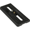 Cartoni A500 Quick Release Plate -Sachtler shop Cartoni A500 A500 Quick Release Plate 1329951961000 233797 94960.1497901672